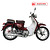 Xe Máy 50cc Cub New Ally 2020 ( Vành Đúc )