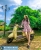 Xe ga 50cc Scoopy đời mới năm 2019