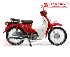 Xe Máy 50cc Cub Ally New