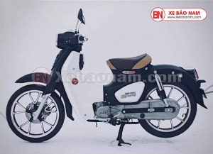 XE MÁY 50CC CUB CLASSIC VVIP 83 Detech