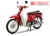Xe máy 50cc Cub 81 New 2019