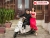 Xe ga 50cc Crea 2020 Đời Mới Nhập Khẩu