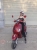 Xe ga 50cc Vespa Pansy X Dibao