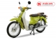 Xe máy 50cc Cub 81 New 2019