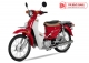 Xe Máy 50cc Cub Halim